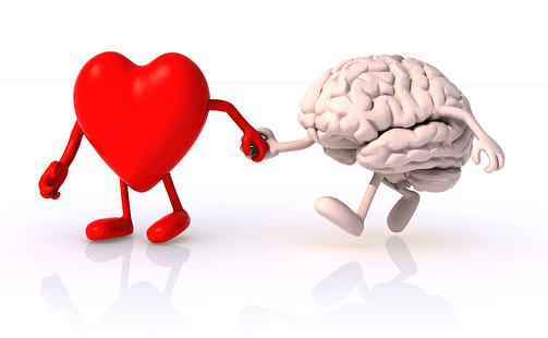 Дружба сердца и мозга